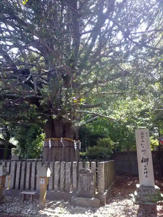 熊野速玉大社の自然