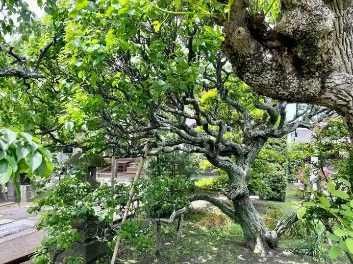 通校神社(神奈川県)