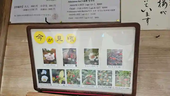 実光院(京都府)