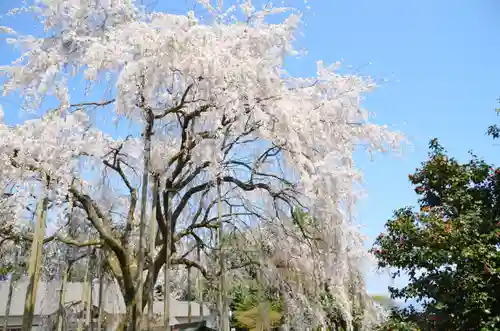 足羽神社(福井県)