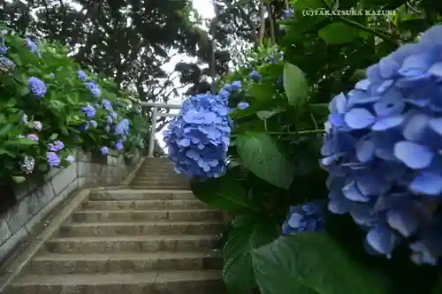 酒列磯前神社(茨城県)