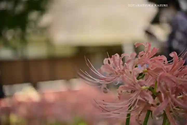 横浜 西方寺(神奈川県)