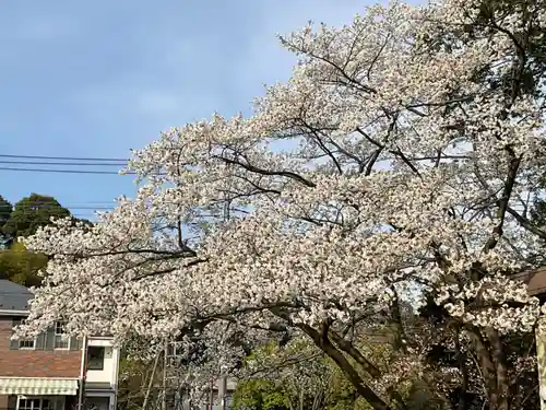 天台宗　長窪山　正覚寺の庭園