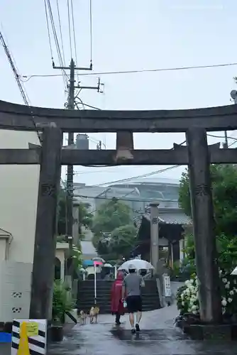 白山神社の鳥居