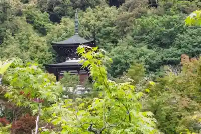 禅林寺(永観堂)(京都府)
