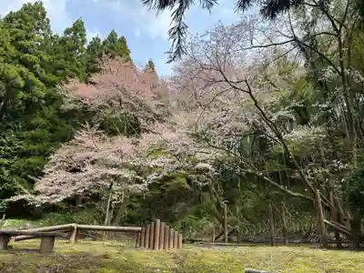 淺井神社(富山県)