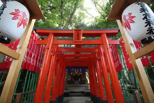 大宮八幡宮の鳥居