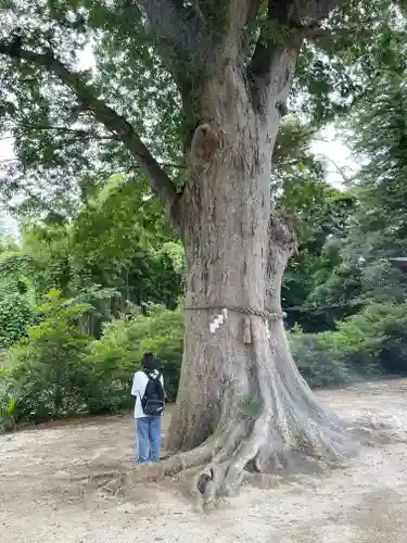 素鵞神社(茨城県)
