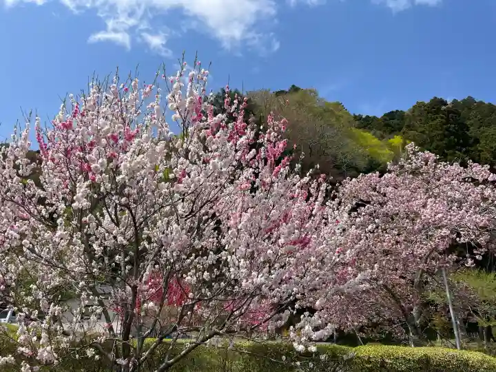 横山不動尊の{uncategorized: "未分類", other: "その他", undefined: "問題あり", building: "その他建物", grave: "お墓", sacred_gate: "鳥居", guardian: "狛犬", statue: "像", buddha: "仏像", history: "歴史", nature: "自然", garden: "庭園", animal: "動物", pagoda: "塔", temizu: "手水舎", mountain_gate: "山門・神門", sanctuary: "本殿・本堂", subordinate: "末社・摂社", art: "芸術", scenery: "景色", jizo: "地蔵", ema: "絵馬", goshuin: "御朱印", omikuji: "おみくじ", items: "授与品その他", amulet: "お守り", goshuincho: "御朱印帳", eats: "食事", festival: "お祭り", votive_dance: "神楽", shichigosan: "七五三参", wedding: "結婚式", experience: "体験その他", initially: "初詣", around: "周辺", anti_infection: "感染症対策"}
