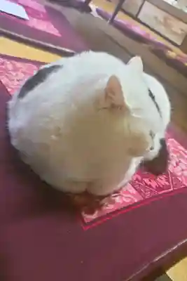 風巻神社(新潟県)