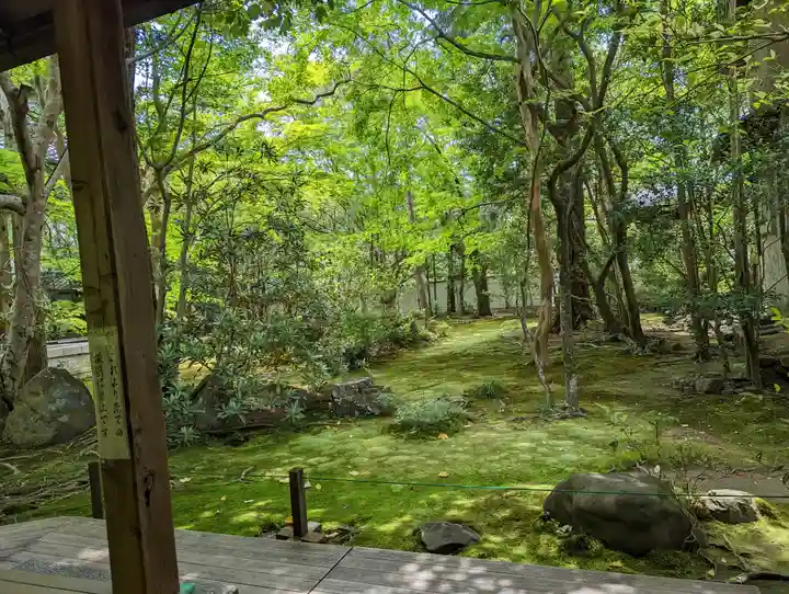蓮華寺(洛北蓮華寺)(京都府)