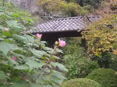 海蔵寺の山門・神門