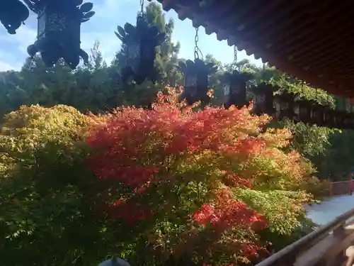 南法華寺（壷阪寺）(奈良県)