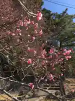 東大寺 二月堂の自然