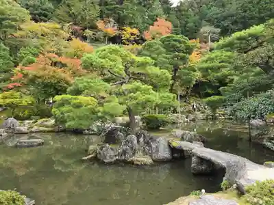 慈照寺（慈照禅寺・銀閣寺）(京都府)