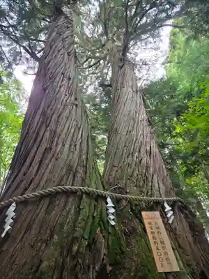 戸隠神社火之御子社(長野県)