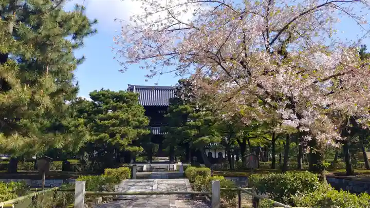 建仁寺(建仁禅寺)の庭園