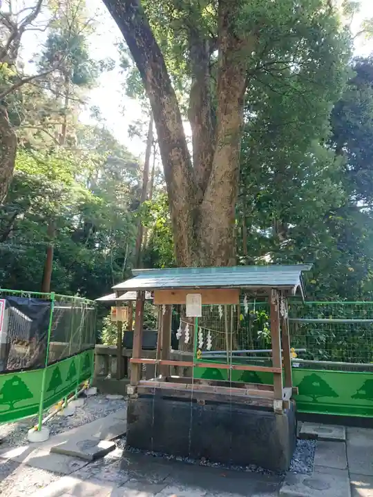 久能山東照宮の手水舎