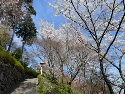 善峯寺(京都府)