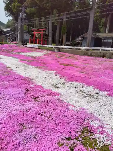 戸隠神社(岐阜県)