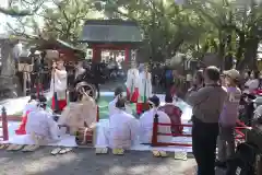 美奈宜神社(福岡県)