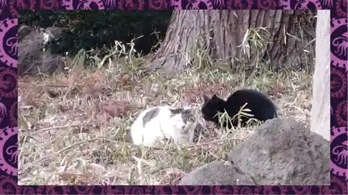 大宮住吉神社(埼玉県)