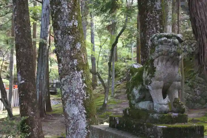 霊山寺の狛犬