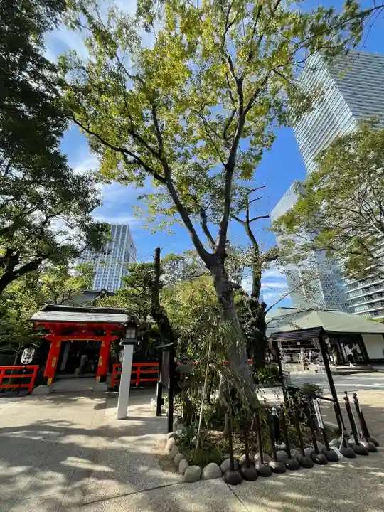 愛宕神社の自然