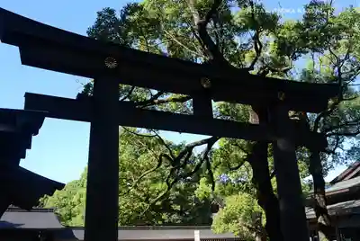 明治神宮(東京都)