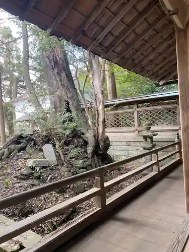 波多岐神社のその他建物