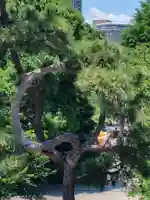 清水観音堂(東京都)