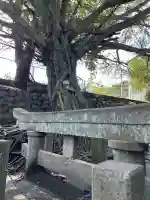 腹五社神社の{uncategorized: "未分類", other: "その他", undefined: "問題あり", building: "その他建物", grave: "お墓", sacred_gate: "鳥居", guardian: "狛犬", statue: "像", buddha: "仏像", history: "歴史", nature: "自然", garden: "庭園", animal: "動物", pagoda: "塔", temizu: "手水舎", mountain_gate: "山門・神門", sanctuary: "本殿・本堂", subordinate: "末社・摂社", art: "芸術", scenery: "景色", jizo: "地蔵", ema: "絵馬", goshuin: "御朱印", omikuji: "おみくじ", items: "授与品その他", amulet: "お守り", goshuincho: "御朱印帳", eats: "食事", festival: "お祭り", votive_dance: "神楽", shichigosan: "七五三参", wedding: "結婚式", experience: "体験その他", initially: "初詣", around: "周辺", anti_infection: "感染症対策"}