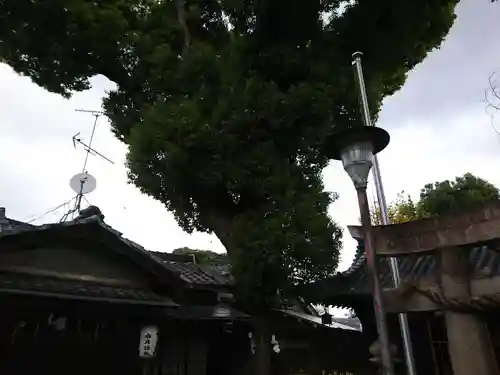中井神社のその他建物