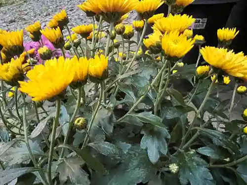 大宮温泉神社(栃木県)