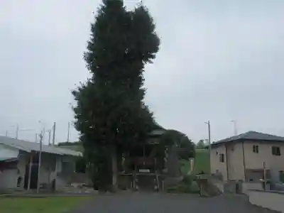 香取神社(埼玉県)