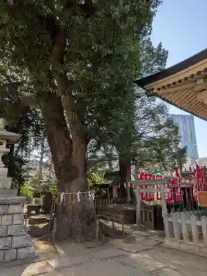 諏訪神社(東京都)