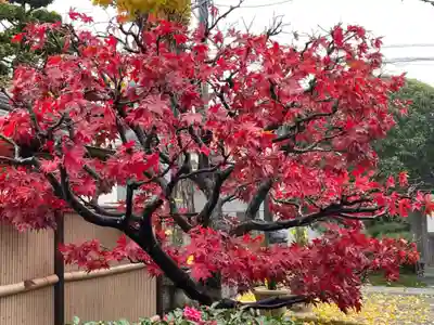 梅香寺(三重県)