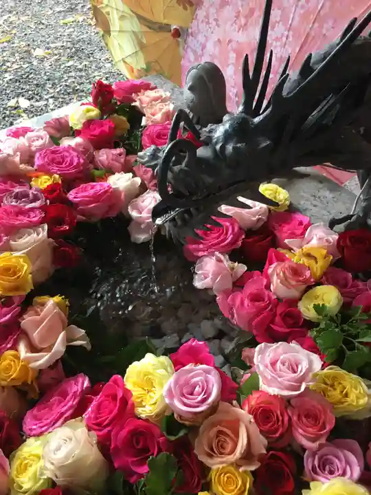 札幌諏訪神社の手水舎