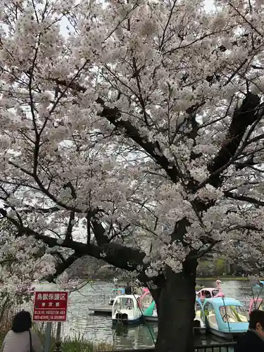 寛永寺不忍池弁天堂(東京都)
