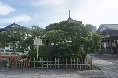 西新井大師総持寺のその他建物