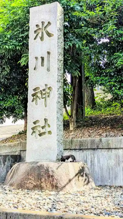 白金氷川神社の動物
