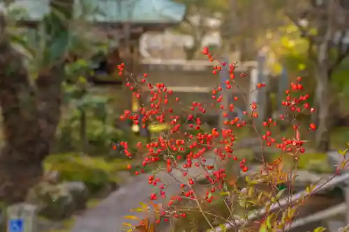 伊勢の国 四天王寺の自然