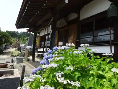伊勢原 法泉寺の本殿・本堂
