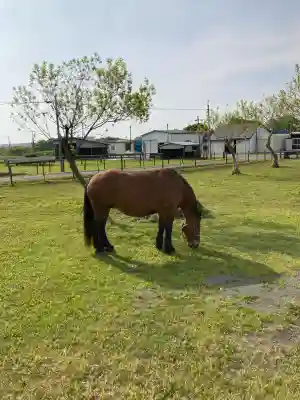 大楽毛神社(北海道)