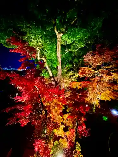 宝満宮竈門神社の自然
