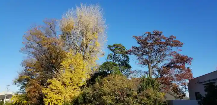 日枝神社の自然
