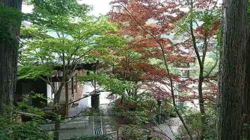 崇禅寺の庭園