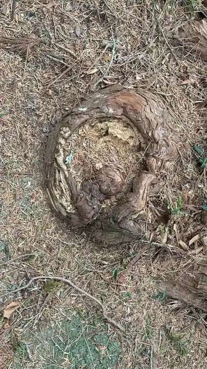 鼻節神社(宮城県)