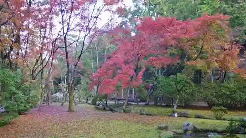 賀茂別雷神社（上賀茂神社）の庭園