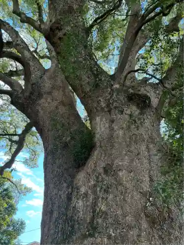 伊勢神明社(静岡県)